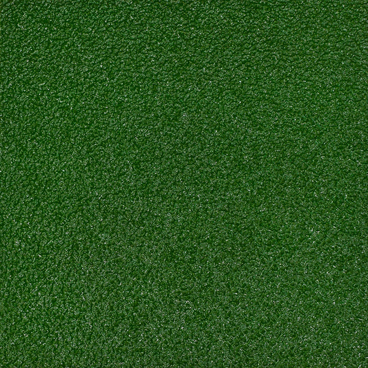 TM 3009 Lime