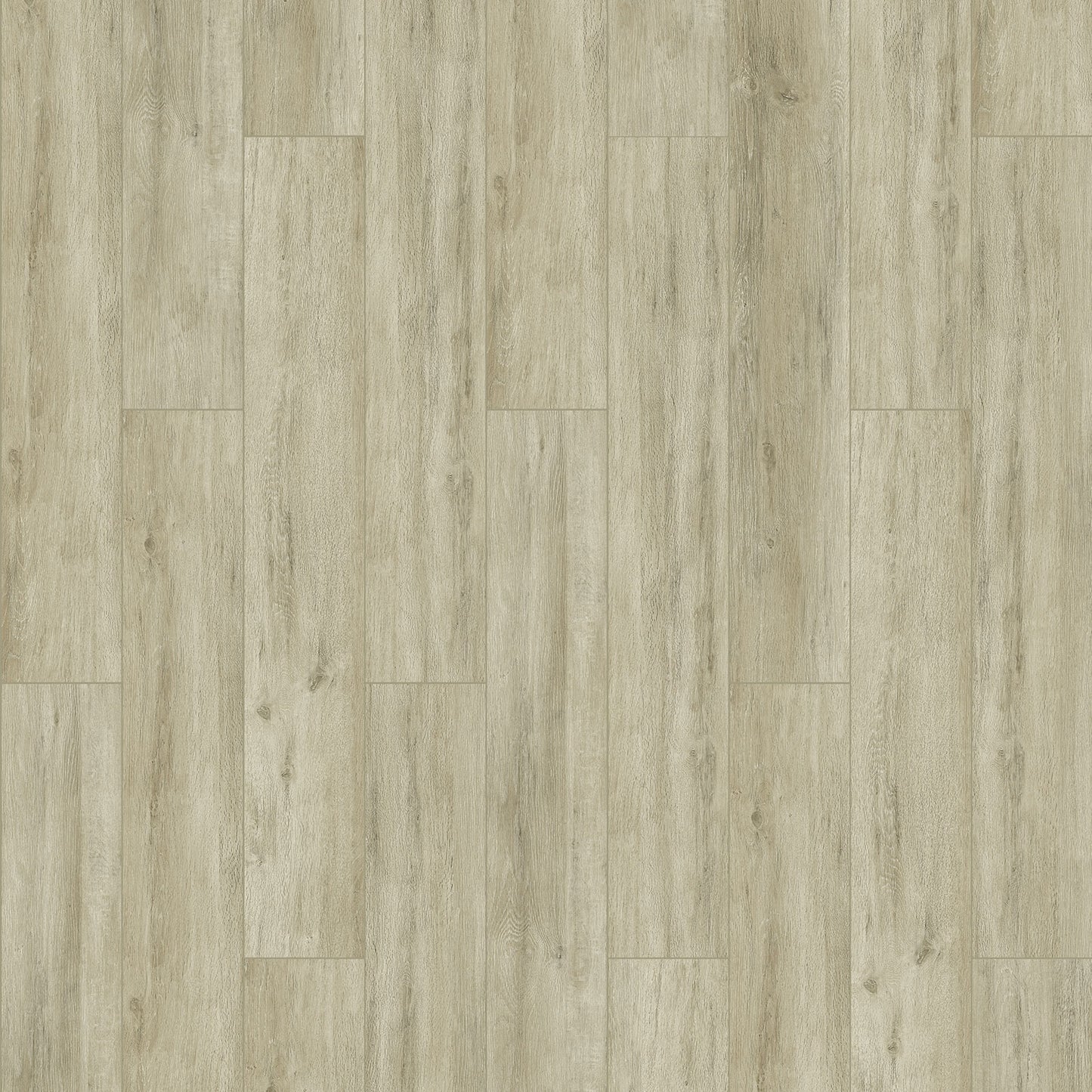 OG 26726 Latte
