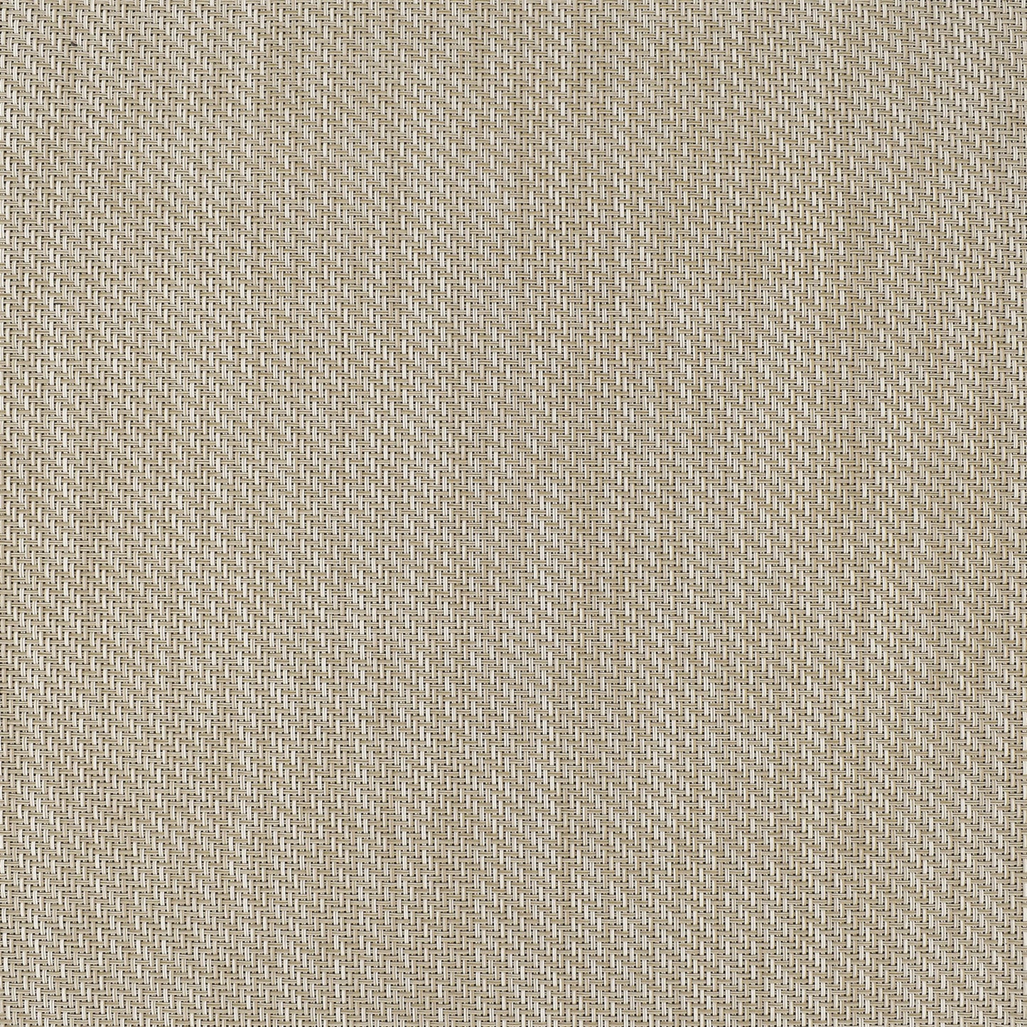 103W Canvas