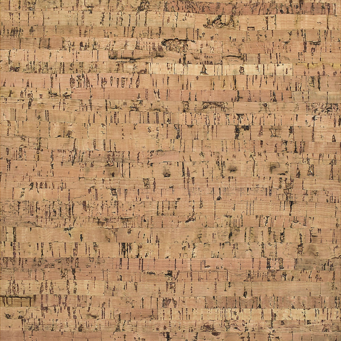 TMU 22