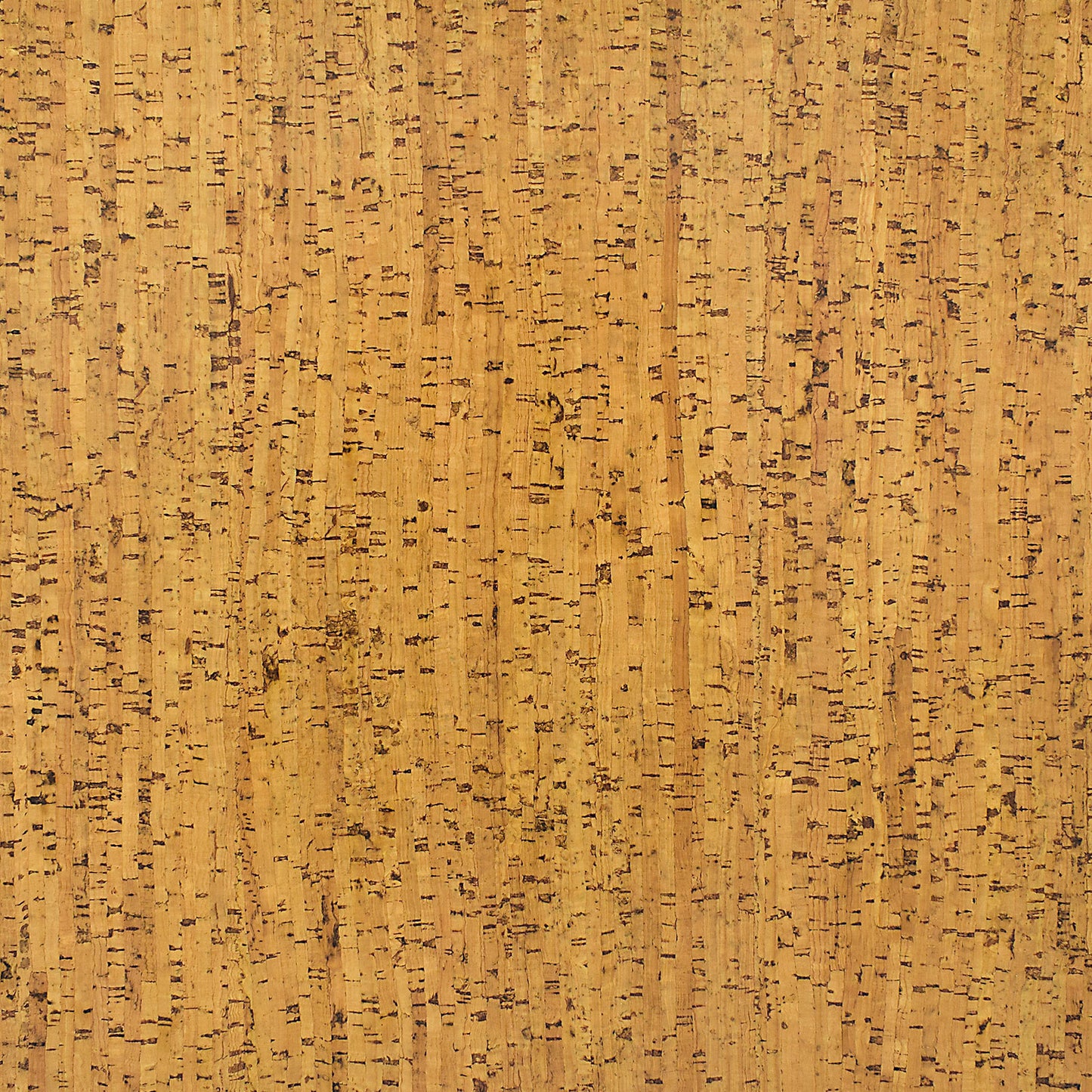 TMU 26