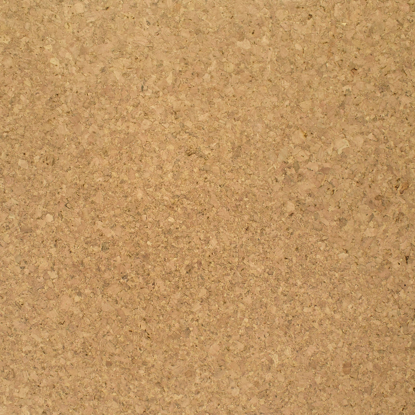 TMU 53 BLOND – TO MARKET