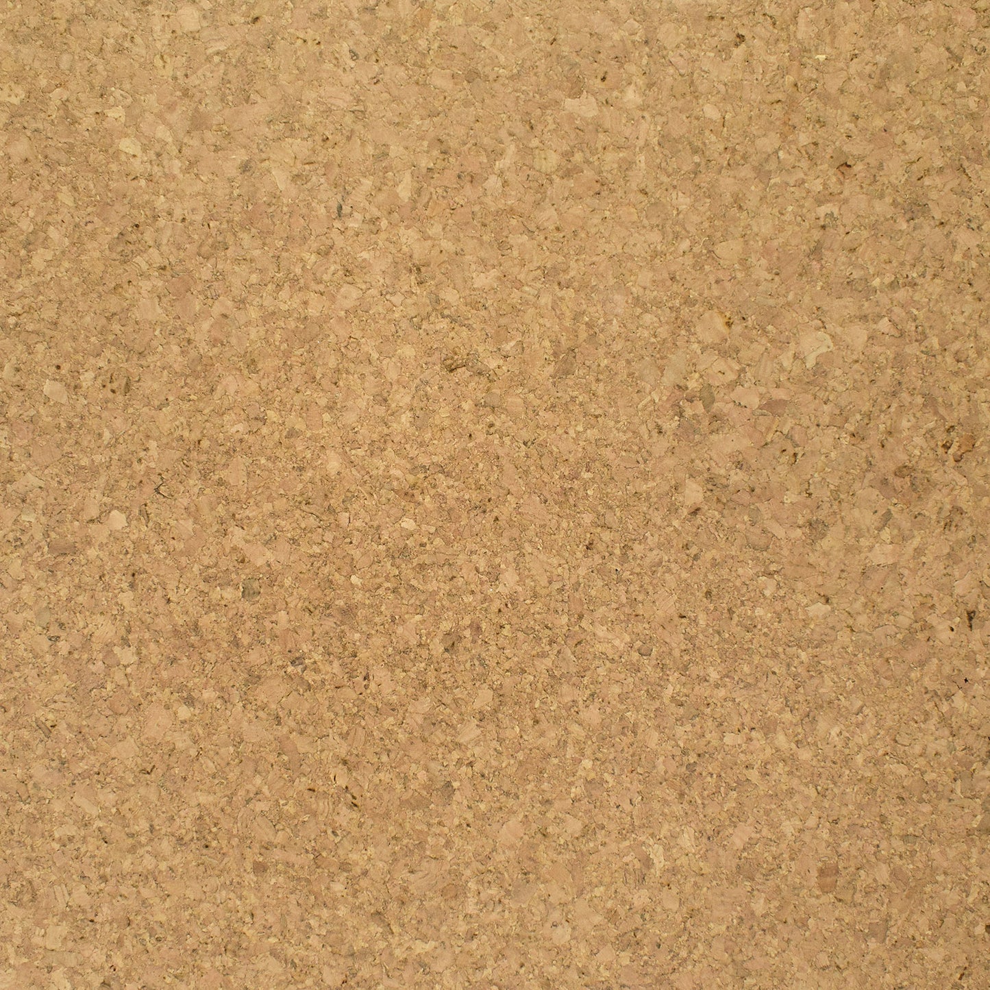 TMU 53 BLOND