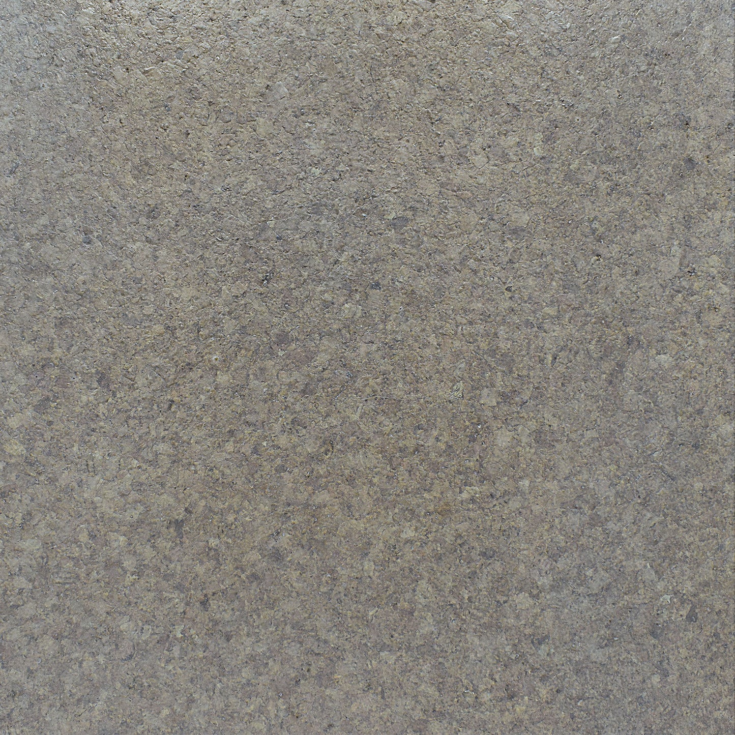 TMU 62 METALLIC MARSH