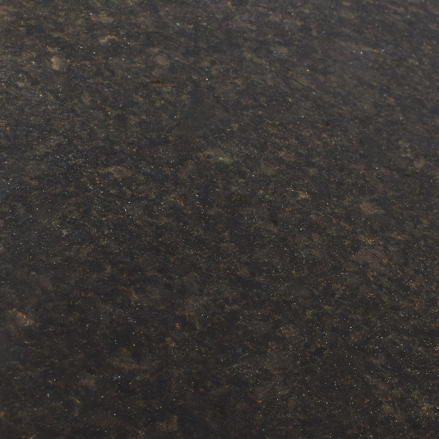 TMU 64 EBONY