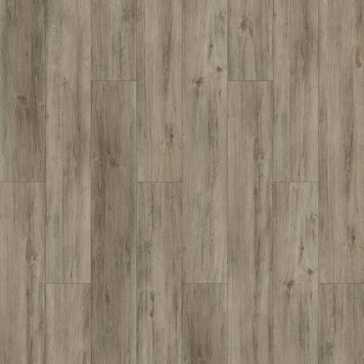 TM 12702 Terrace