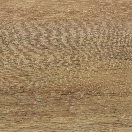 TM 12712 Duplex