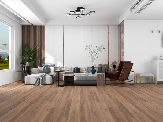 BV 751 BCN - Dulles 20