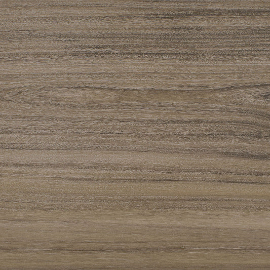 U28 57 Coconut