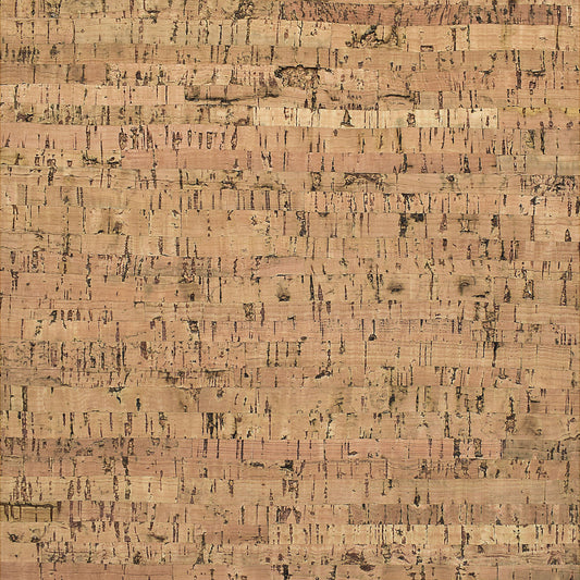 TMU 22
