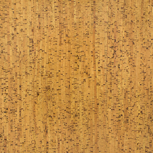 TMU 26