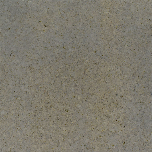 TMU51 ASH